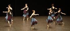 Gala de danse classique 14 ans à jeunes adultes 2026